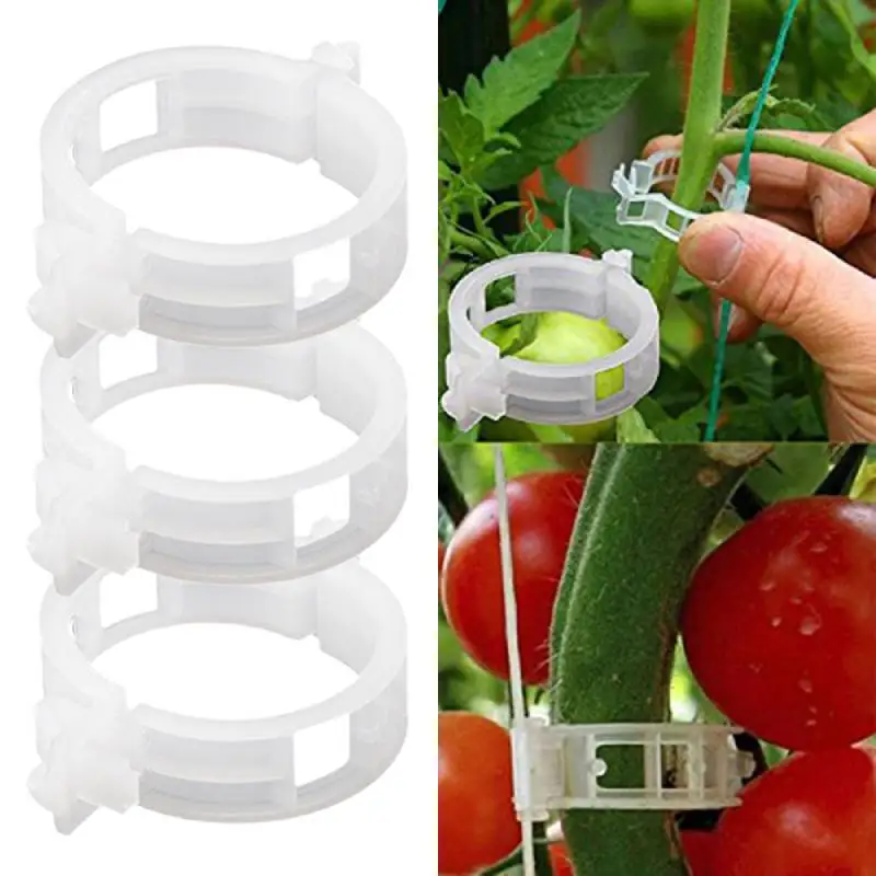

50/100pcs Plastic Plant Clips Supports Connects Protection Grafting Fixing Tool Gardening Supplies For Vines Vegetable Tomato