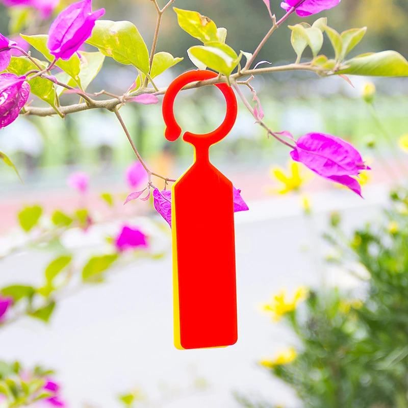 Convenient Ring Buckle Design 50pcs Plastic Hanging Plant Tags for Easy Branch Buckling in Your Nursery Garden
Convenient Ring Buckle Design 50pcs Plastic Hanging Plant Tags for Easy Branch Buckling in Your Nursery Garden