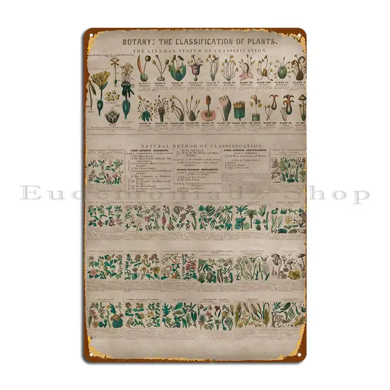 Classification Of Plants Metal Plaque Poster Cinema Cinema Create Wall Cave Tin Sign Poster
Classification Of Plants Metal Plaque Poster Cinema Cinema Create Wall Cave Tin Sign Poster