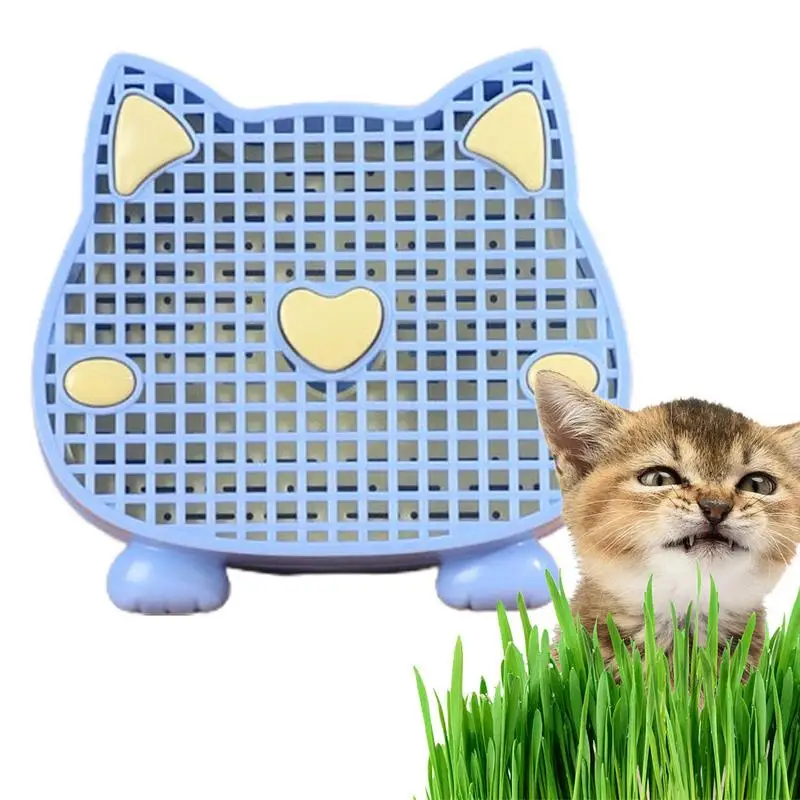 Cat Grass Grow Tray Germinating Tray Soil Free Growing Trays Layered Cat Grass Planter To Aid Digestion For Indoor Cats Patio
Cat Grass Grow Tray Germinating Tray Soil Free Growing Trays Layered Cat Grass Planter To Aid Digestion For Indoor Cats Patio