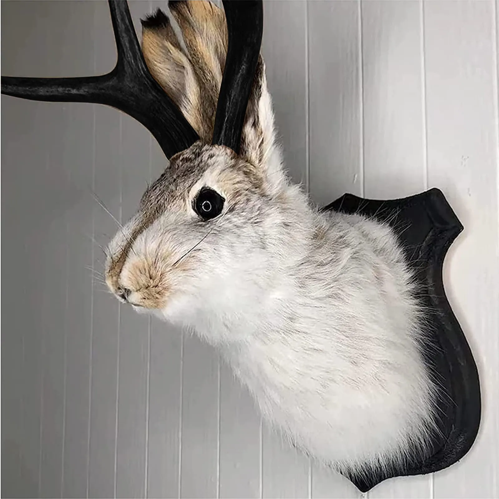 Creative Resin Crafts Animal Devil Rabbit Taxidermy Ornaments Home Deer Head Animal Wall Decoration Hanging Villa Wall Decor
Creative Resin Crafts Animal Devil Rabbit Taxidermy Ornaments Home Deer Head Animal Wall Decoration Hanging Villa Wall Decor