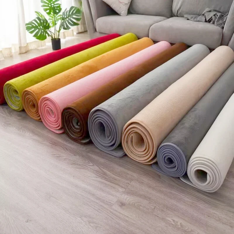 

8 Size Options Nordic Carpet for Living Room Low Pile Rug Children Bed Room Floor Carpets Window Bedside Home Decor Coral Fleece