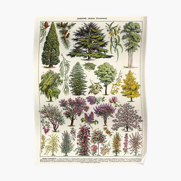 Настенный постер Adolphe Millot Jardin Arbres D Ornem, украшение для стен, декор для винтажной комнаты, забавный, без рамки
Настенный постер Adolphe Millot Jardin Arbres D Ornem, украшение для стен, декор для винтажной комнаты, забавный, без рамки