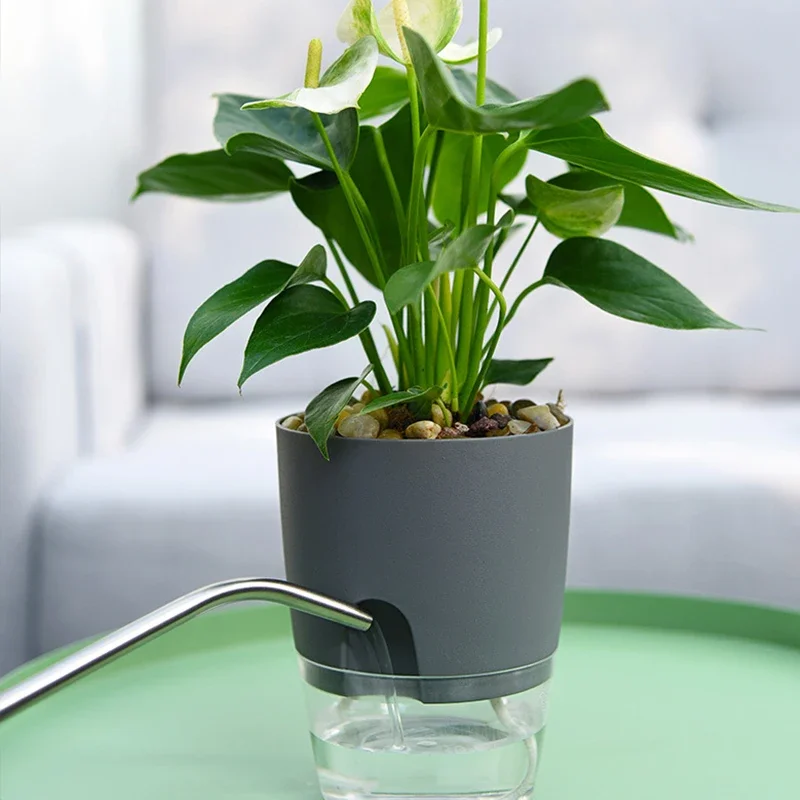 Self Watering Plant Pots Lazy Hydroponic Water Absorbing Flower Pot Succulent Plant Flowerpot Garden Modern Decorative Pot
Self Watering Plant Pots Lazy Hydroponic Water Absorbing Flower Pot Succulent Plant Flowerpot Garden Modern Decorative Pot