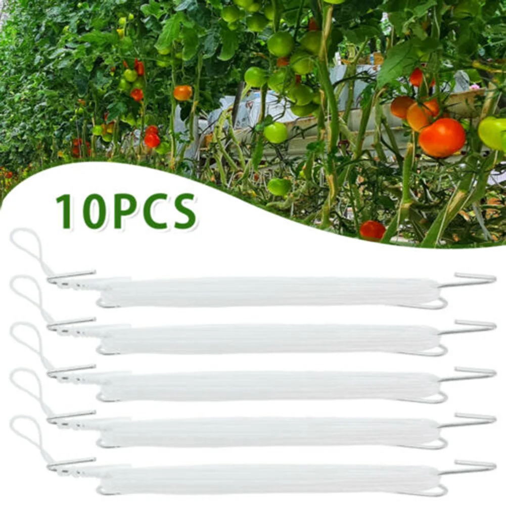 10pcs Plant Tomato Support Ear Hook Clip Plants Trellis Garden Vegetable Patch Fruit Hooks Clamps Gardening Supplies Nylon Rope
10pcs Plant Tomato Support Ear Hook Clip Plants Trellis Garden Vegetable Patch Fruit Hooks Clamps Gardening Supplies Nylon Rope