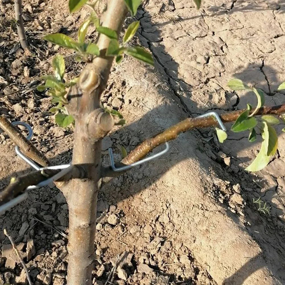 Plant Branch Benders Fruit Tree Branch Spreader Forms S Shape Branch Puller Branch Bending Tool Support The Growth New Branches
Plant Branch Benders Fruit Tree Branch Spreader Forms S Shape Branch Puller Branch Bending Tool Support The Growth New Branches