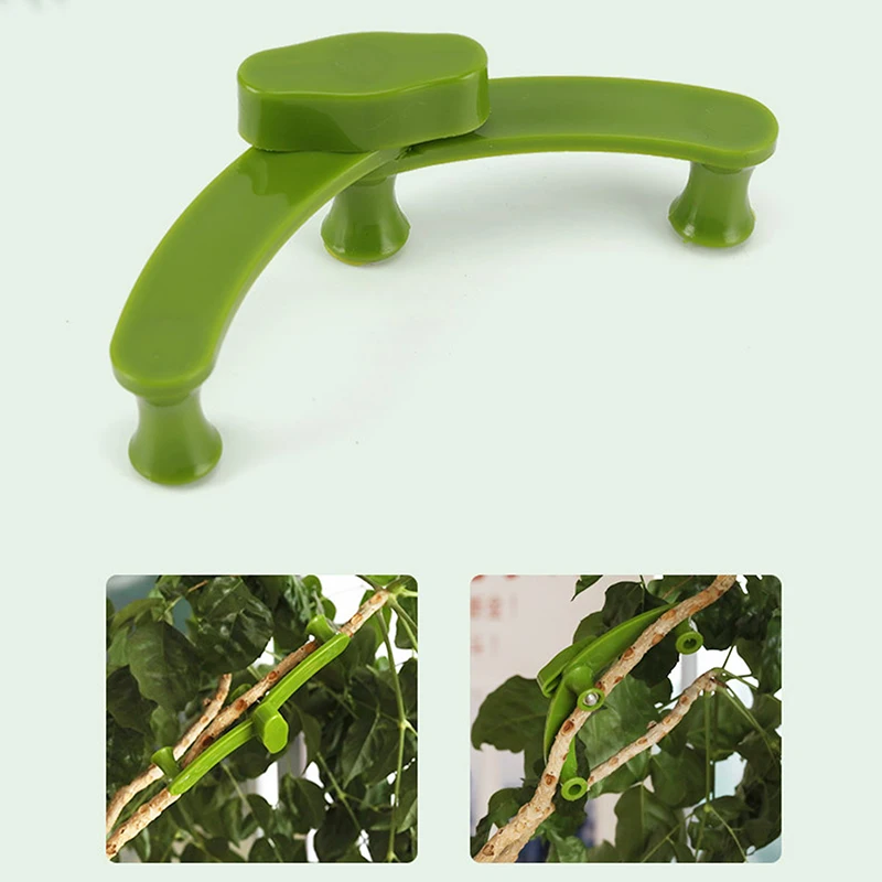 10PCS Bonsai Tools Branch Pressing and Pruning Device Fruit Tree Branch Pulling and Shaping Device Bonsai Modeling Making Tool
10PCS Bonsai Tools Branch Pressing and Pruning Device Fruit Tree Branch Pulling and Shaping Device Bonsai Modeling Making Tool