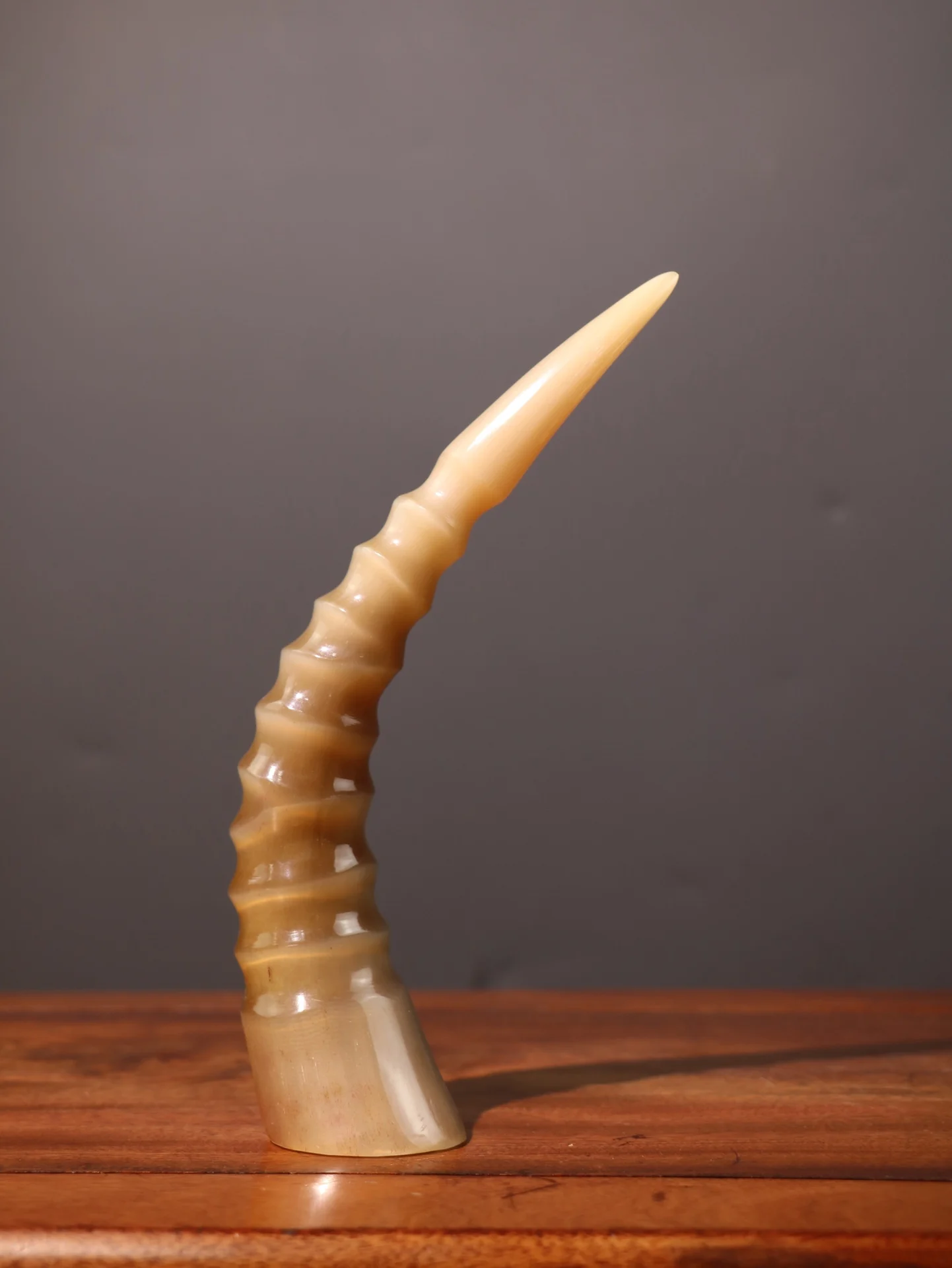 

7"Tibetan Temple Collection Old Natural Old Sheep Horn Horn tip whirlwind Ornaments Worship Hall Town house Exorcism