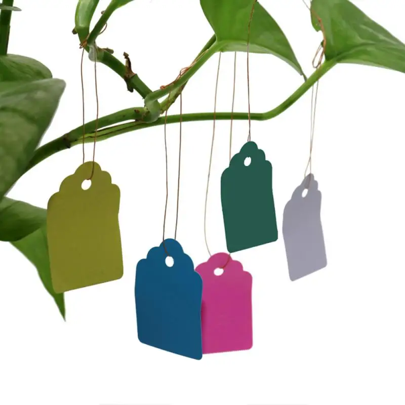 

100/50Pcs Plant Hang Tag DIY Plastic Tags Number Plate Jewelry Gift Notes Price Head Label Plant Markers Garden Wedding Tools