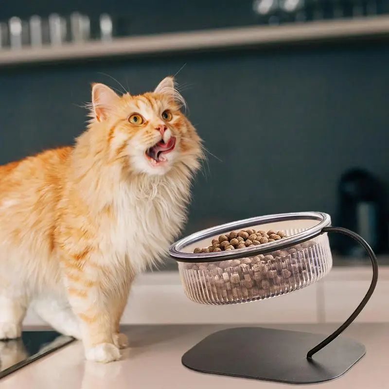 Cat Food Bowl Adjustable Raised Dog Bow Non-Spill Feeding Dish Bowl Elevated Dog Water Food Bowl For Large Medium Small Dogs 
Cat Food Bowl Adjustable Raised Dog Bow Non-Spill Feeding Dish Bowl Elevated Dog Water Food Bowl For Large Medium Small Dogs