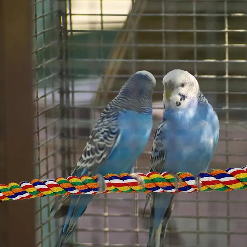 Parrot Perch Stand Multi Functional Bird Climbing Rope Easy To Install Suitable For Budgerigars Parakeets Conures Small Birds
Parrot Perch Stand Multi Functional Bird Climbing Rope Easy To Install Suitable For Budgerigars Parakeets Conures Small Birds