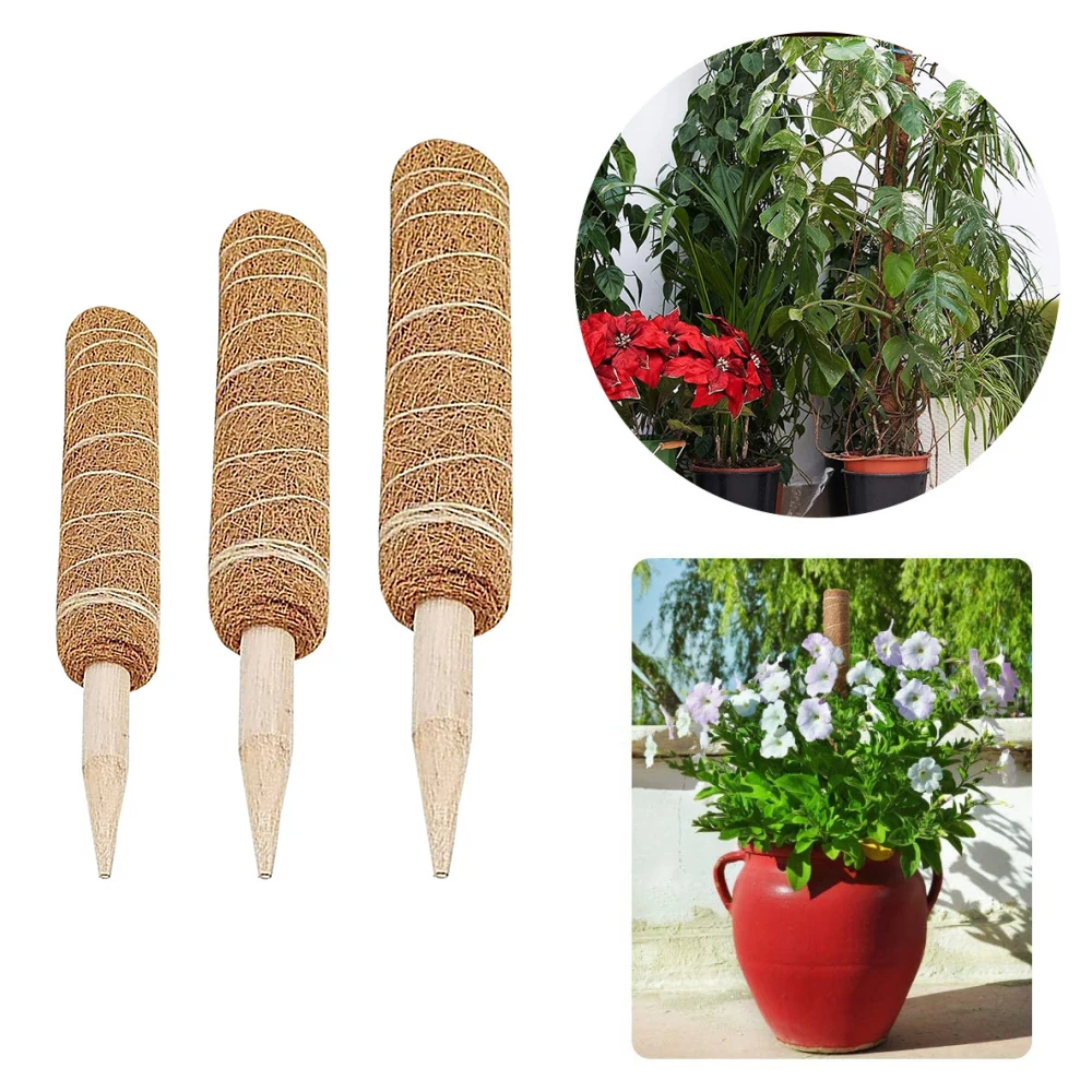 30/40/50cm Plant Cages Supports Reusable Plant Climbing Stand Durable Flower Plants Support for Balcony Garden Courtyard Flower
30/40/50cm Plant Cages Supports Reusable Plant Climbing Stand Durable Flower Plants Support for Balcony Garden Courtyard Flower