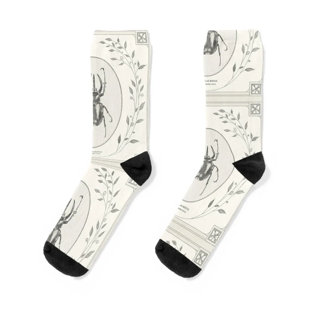 The Atlas Beetle Socks Cartoon characters socks christmas gifts anime socks winter socks Socks For Women Men's
The Atlas Beetle Socks Cartoon characters socks christmas gifts anime socks winter socks Socks For Women Men's