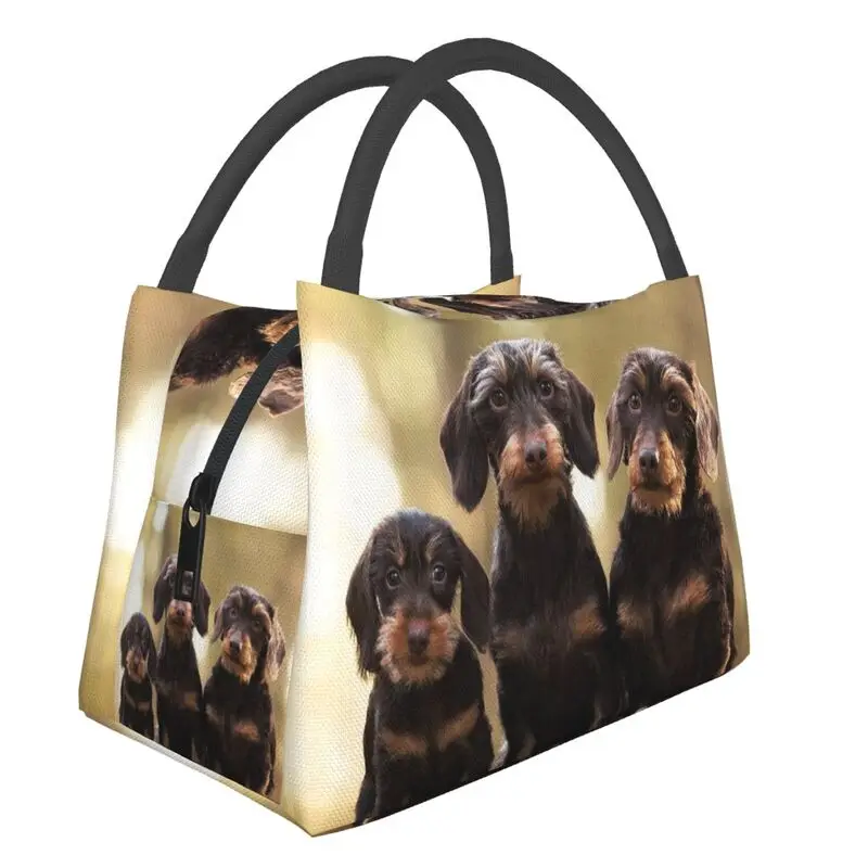 Cute Dachshund Lunch Box Women Sausage Wiener Badger Dogs Cooler Thermal Food Insulated Lunch Bag Office Work Pinic Container
Cute Dachshund Lunch Box Women Sausage Wiener Badger Dogs Cooler Thermal Food Insulated Lunch Bag Office Work Pinic Container