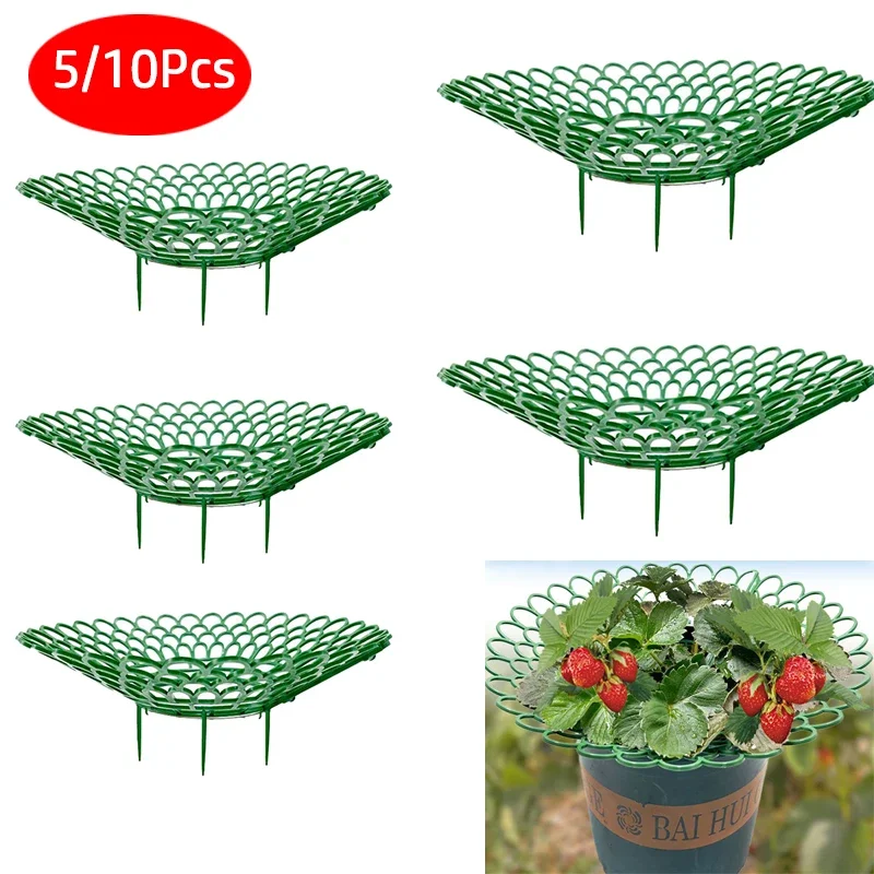 5/10Pcs Strawberry Supports Plant Fruit Stand Vegetable Growing Rack Garden Tools For Protecting Vines Avoid Ground Gardening
5/10Pcs Strawberry Supports Plant Fruit Stand Vegetable Growing Rack Garden Tools For Protecting Vines Avoid Ground Gardening