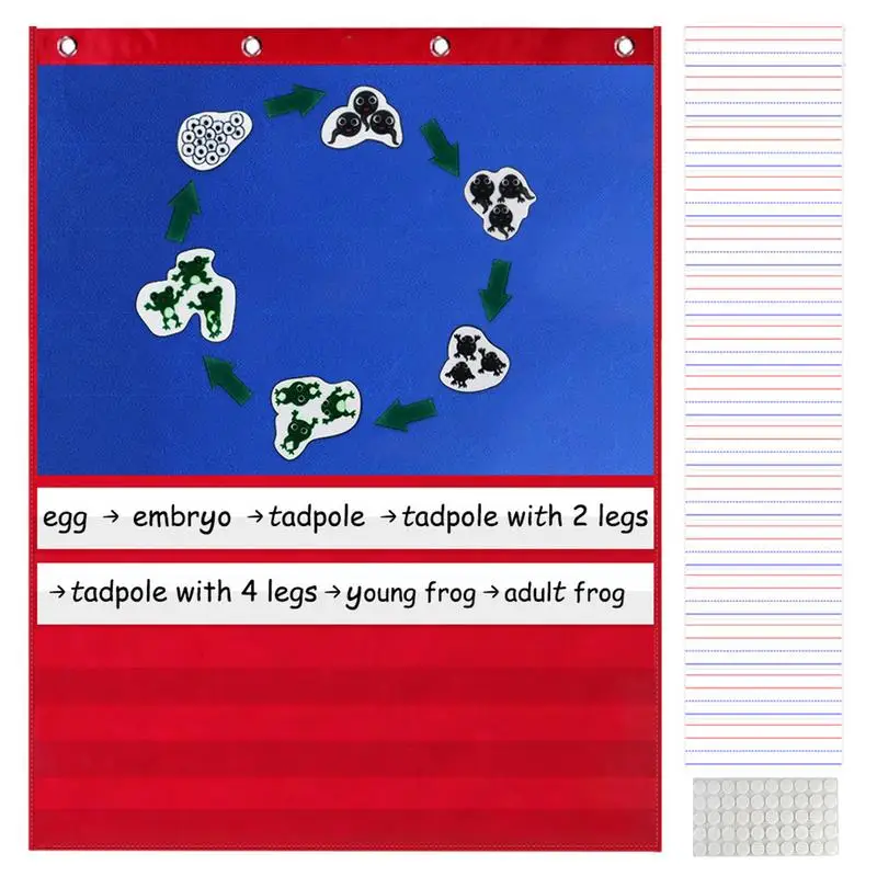 Pocket Chart For Classroom Clear 5 Pocket Chart With 15 Dry Erase Cards Classroom Pocket Chart For Sentence Strips Daily
Pocket Chart For Classroom Clear 5 Pocket Chart With 15 Dry Erase Cards Classroom Pocket Chart For Sentence Strips Daily