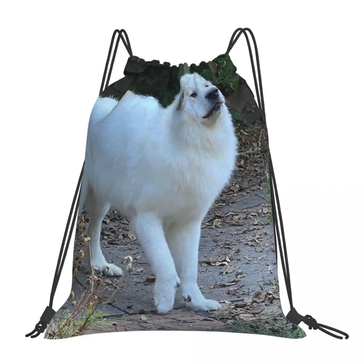 Putting Right Paw Forward Backpacks Portable Drawstring Bags Drawstring Bundle Pocket Sports Bag Book Bags For Travel Students
Putting Right Paw Forward Backpacks Portable Drawstring Bags Drawstring Bundle Pocket Sports Bag Book Bags For Travel Students