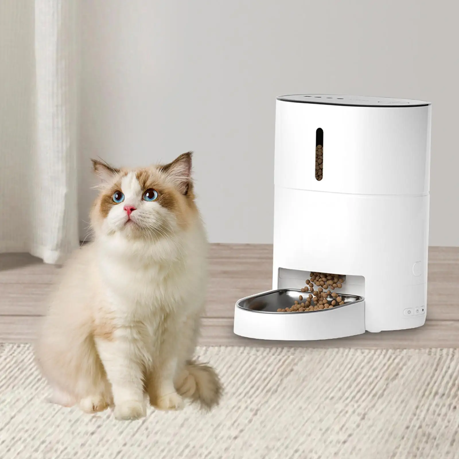 

Automatic Cat Feeder Anti Stuck Design Keep Fresh and Dry Food Dispenser