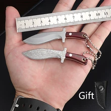 

Multi-function Mini Kitchen Knife Keychain Portable EDC Fixed Blade Camping Small Fruit Knives Wood Handle Bottle Opener Knife