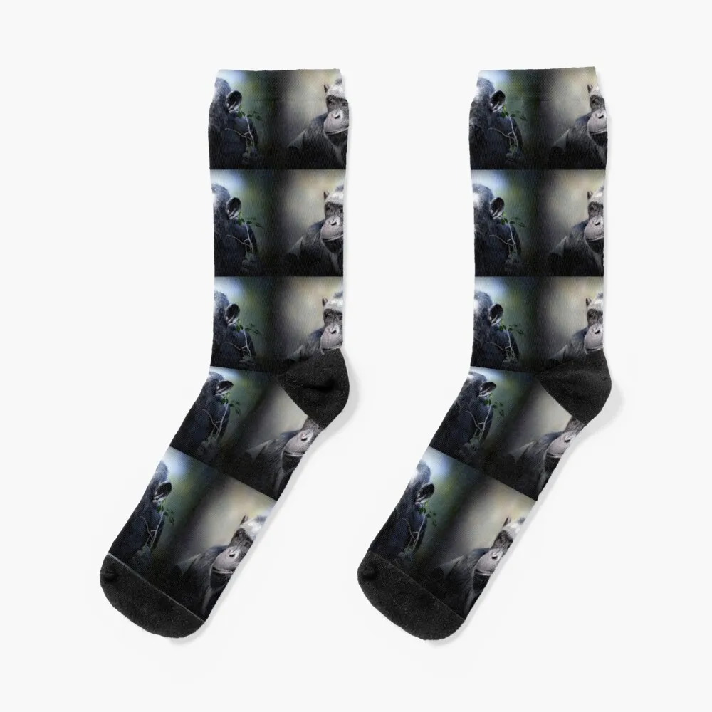 ChimpanzeeSocks Warm Socks Men Men'S Cycling Socks 
ChimpanzeeSocks Warm Socks Men Men'S Cycling Socks