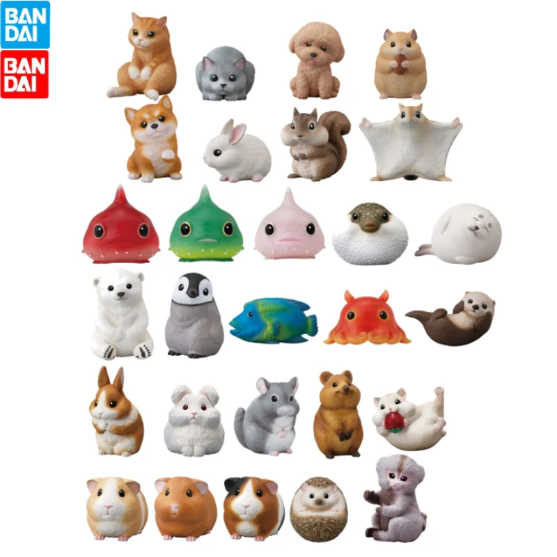 Оригинальный Bandai EX CASHAPON, милый друг на Пальме, кролик, кошка, собака, Qversion Mini фигурка животного, модель, игрушки, подарки, коллекционное украшение
Оригинальный Bandai EX CASHAPON, милый друг на Пальме, кролик, кошка, собака, Qversion Mini фигурка животного, модель, игрушки, подарки, коллекционное украшение