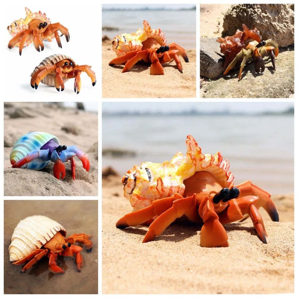 

New Children's Simulation Solid Marine Plastic Seabed World Animal Model Hermit Crab Marine Crab Toys Handmade Decorations Gifts