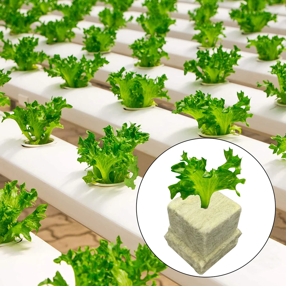 Soilless Cultivation Rock Wool Block Accessories Cubes Sowing Substrate Growing Media Hydroponic Medium Durable
Soilless Cultivation Rock Wool Block Accessories Cubes Sowing Substrate Growing Media Hydroponic Medium Durable