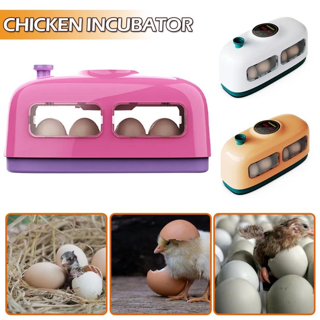 New Small Train 8 Egg Incubator Children's Puzzle Science Education Incubator LED Light Egg Household Chicken Incubator Chick Re
New Small Train 8 Egg Incubator Children's Puzzle Science Education Incubator LED Light Egg Household Chicken Incubator Chick Re