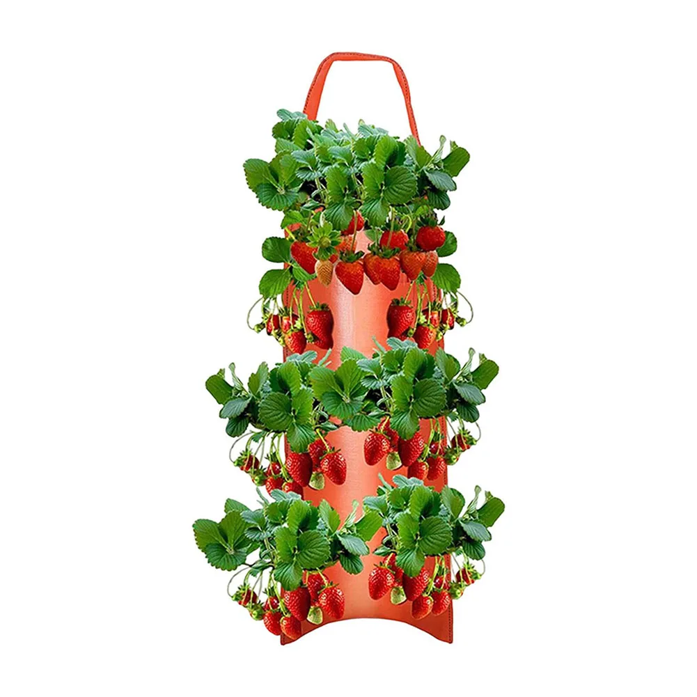 Upside Down Tomato Strawberry Plant Grow Bag Breathable Canvas Sun Loving And Shade Loving Plants Living Together
Upside Down Tomato Strawberry Plant Grow Bag Breathable Canvas Sun Loving And Shade Loving Plants Living Together