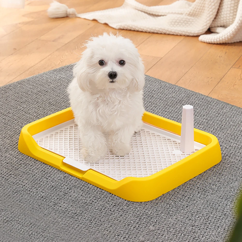 Pet Dog Toilet With Heightened Fence Detachable Washable Anti- Slide Puppy Potty Tray For Small Medium Sized Dogs Cats
Pet Dog Toilet With Heightened Fence Detachable Washable Anti- Slide Puppy Potty Tray For Small Medium Sized Dogs Cats