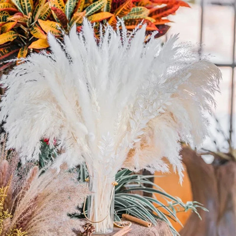 

Boho Pampas Grass Phragmites Reed Dried Natural Flowers Bouquet Arrangement Wedding Party Home Decor Christmas Decorations