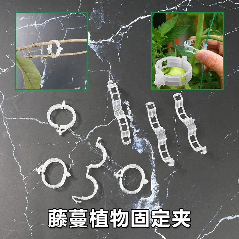 Plant Clamps/cantaloupe Clamps/plastic Clamps/branches Clamps/hanging Clamps/holding Clamps/vines Fixed Clamps
Plant Clamps/cantaloupe Clamps/plastic Clamps/branches Clamps/hanging Clamps/holding Clamps/vines Fixed Clamps