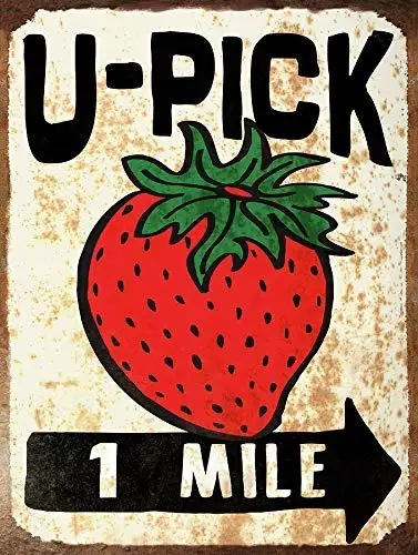 SLALL U-Pick 1 Mile Strawberry Retro Street Sign Household Metal Tin Sign Bar Cafe Car Motorcycle Garage Decoration Supplies
SLALL U-Pick 1 Mile Strawberry Retro Street Sign Household Metal Tin Sign Bar Cafe Car Motorcycle Garage Decoration Supplies