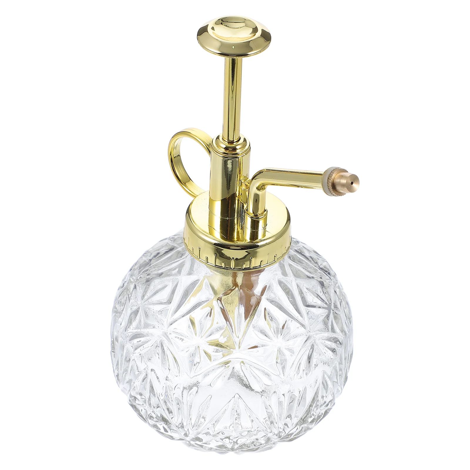 Bottle Watering Spray Can Water Kettle Glass Mister Small Mist Vintage Pump Fine Indoor Sprayer Flower Misting Water
Bottle Watering Spray Can Water Kettle Glass Mister Small Mist Vintage Pump Fine Indoor Sprayer Flower Misting Water