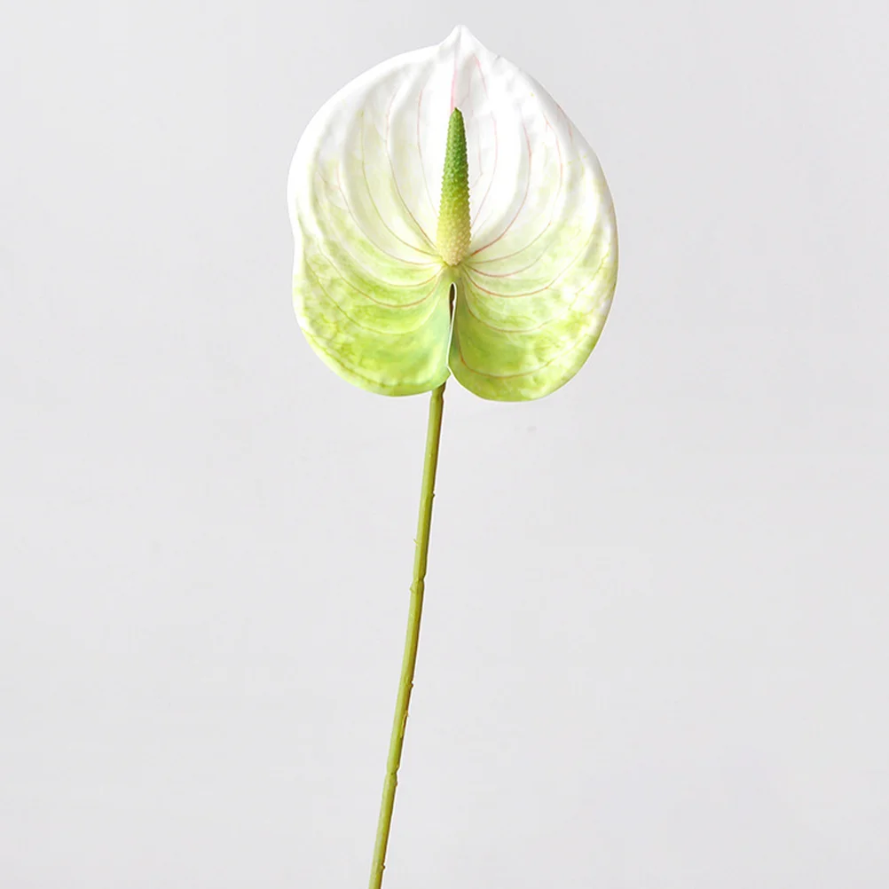 6pcs Simulation Flower Artificial Flowers Faux Anthurium Flowers Party Layout Flowers
6pcs Simulation Flower Artificial Flowers Faux Anthurium Flowers Party Layout Flowers