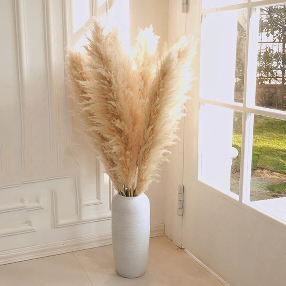 80cm Pampas Grass Extra Large Natural White Grey Dried Flower Bouquet Fluffy for Boho Vintage Home Wedding Flower Decoration
80cm Pampas Grass Extra Large Natural White Grey Dried Flower Bouquet Fluffy for Boho Vintage Home Wedding Flower Decoration