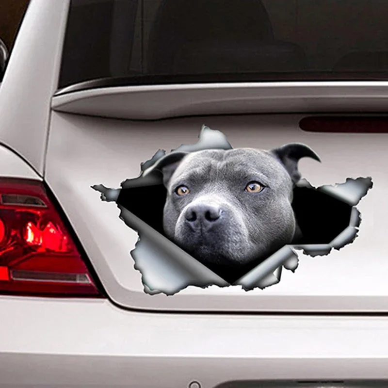 Blue Pitbull Car Sticker Torn Metal Decal Reflective Sticker Waterproof Car Styling Pet Auto Motorcycles Accessories,13cm X 8cm
Blue Pitbull Car Sticker Torn Metal Decal Reflective Sticker Waterproof Car Styling Pet Auto Motorcycles Accessories,13cm X 8cm