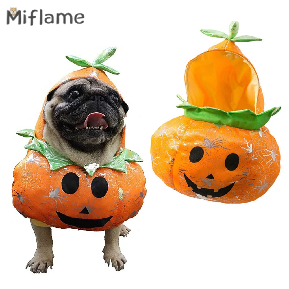 Miflame Pet Apparel Halloween Pumpkin Outfit Small Medium Dogs Funny Transformation Clothing Shiba Inu Terrier Standing Costume
Miflame Pet Apparel Halloween Pumpkin Outfit Small Medium Dogs Funny Transformation Clothing Shiba Inu Terrier Standing Costume