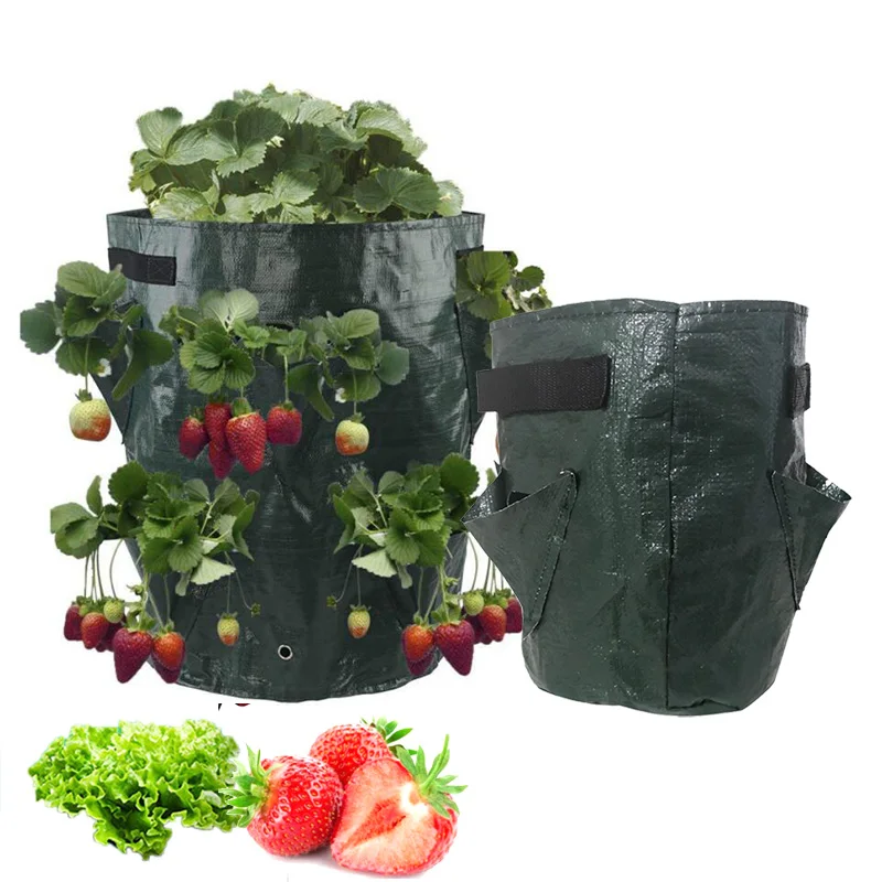 

5 7 10 Gallon PE Strawberry Planter grow Bags potato pot gardening pots home jardin Flower veg Tomato planting tools Container T