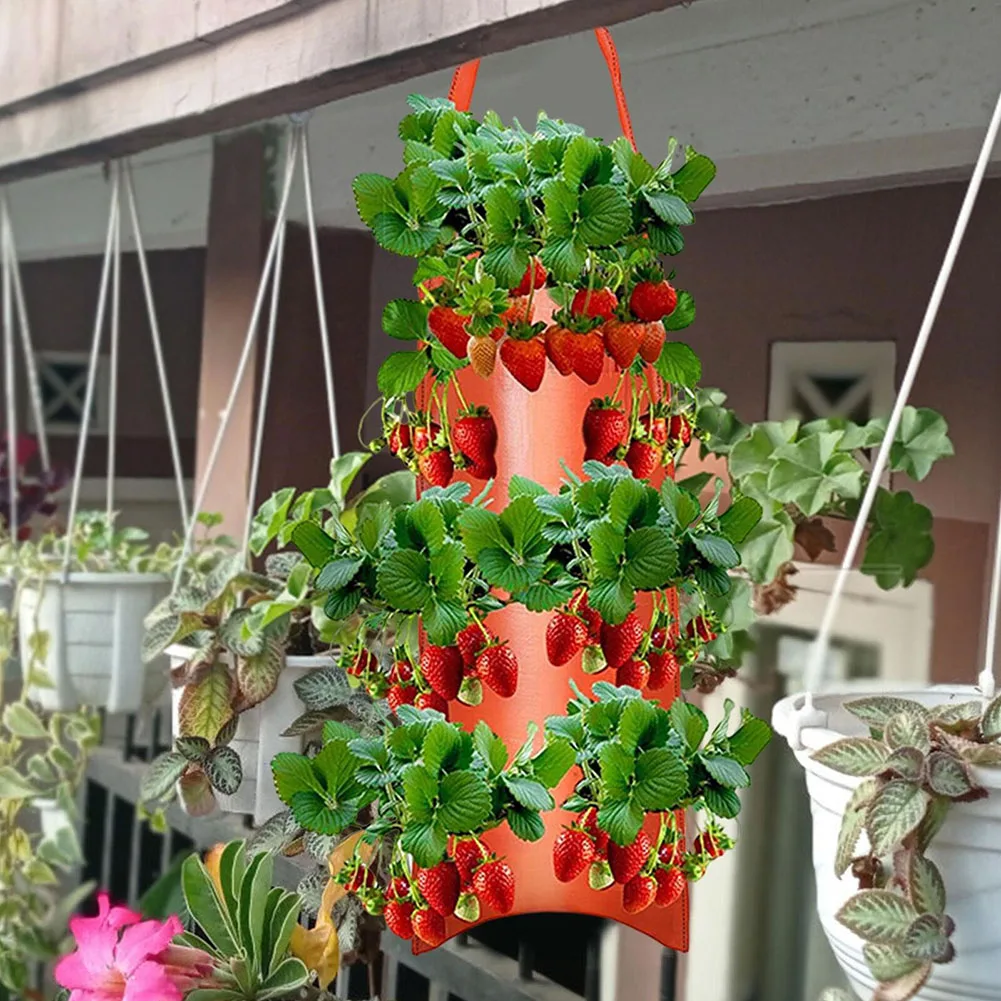 8-Hole Hanging Type Planting Bag Hanging Type Planting Bag Plant Growth Bag Growth Bag Nutrition Pot PE Woven Bag
8-Hole Hanging Type Planting Bag Hanging Type Planting Bag Plant Growth Bag Growth Bag Nutrition Pot PE Woven Bag