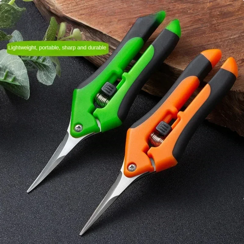 Garden Tools Secateurs Bonsai Shears Metal Gardening Scissor Pruning Tool Hand Cutter Fruit Picking Weed Household Potted 1PC
Garden Tools Secateurs Bonsai Shears Metal Gardening Scissor Pruning Tool Hand Cutter Fruit Picking Weed Household Potted 1PC