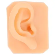 1pc Practical Ear Piercing Model Simulation Right Ear Suture Practice Model Prop
1pc Practical Ear Piercing Model Simulation Right Ear Suture Practice Model Prop