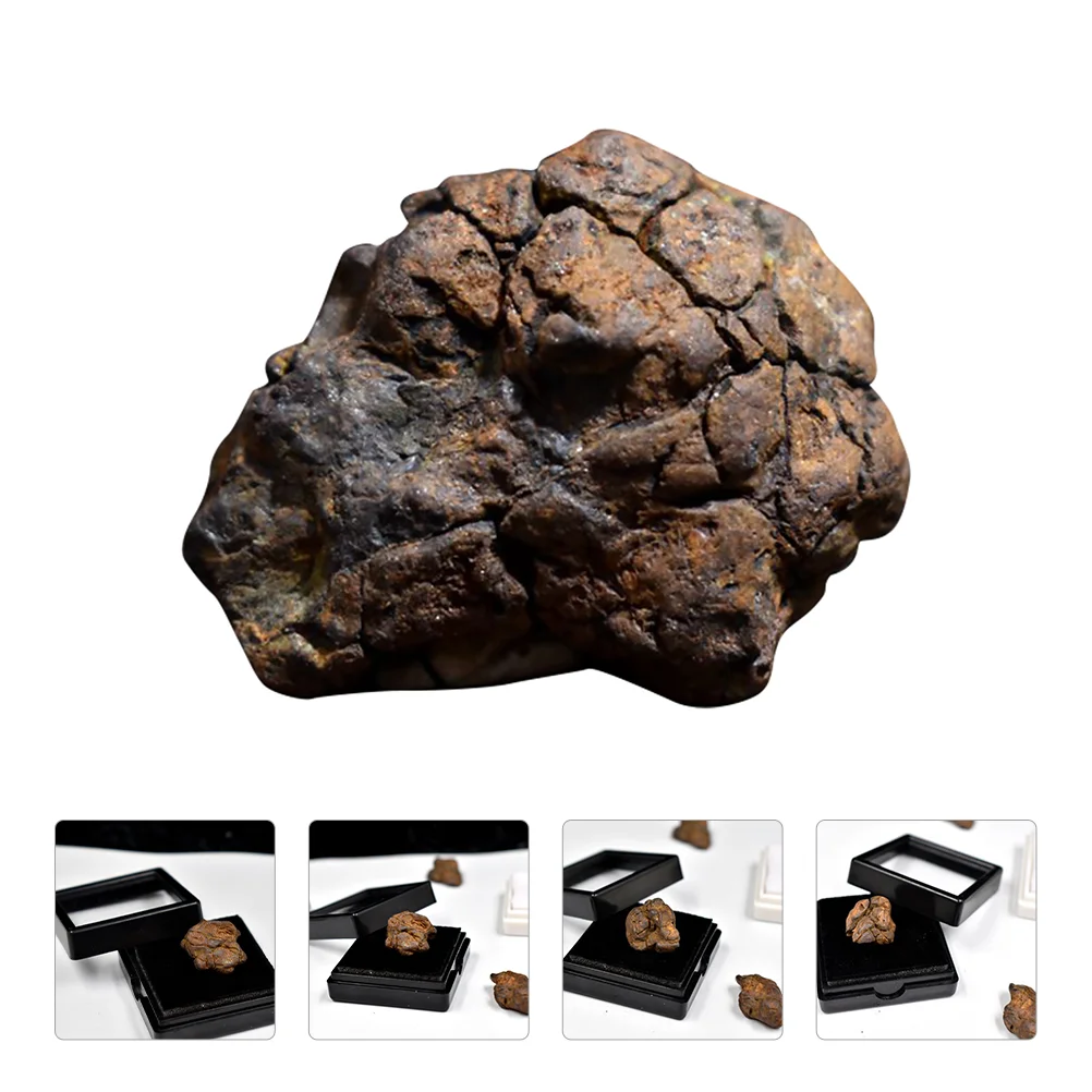 Научный образец Lithosiderite Олива метеорит обеденный стол Аэролит метеорит Декор
Научный образец Lithosiderite Олива метеорит обеденный стол Аэролит метеорит Декор