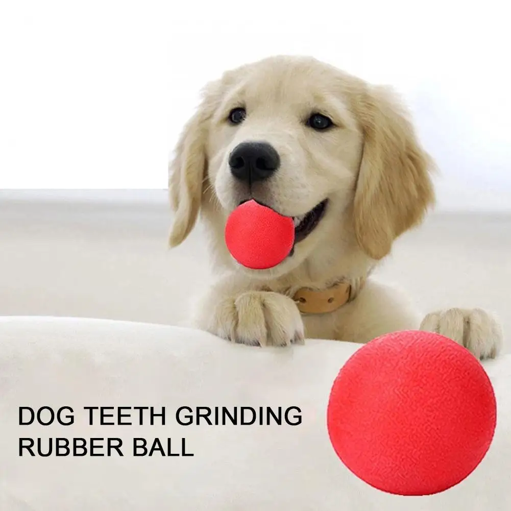 Dog Rubber Ball Solid Bite Resistant Elastic Ball Toy Pet Large Tooth Grinding Toy Training Interactive Game Ball With Rope
Dog Rubber Ball Solid Bite Resistant Elastic Ball Toy Pet Large Tooth Grinding Toy Training Interactive Game Ball With Rope