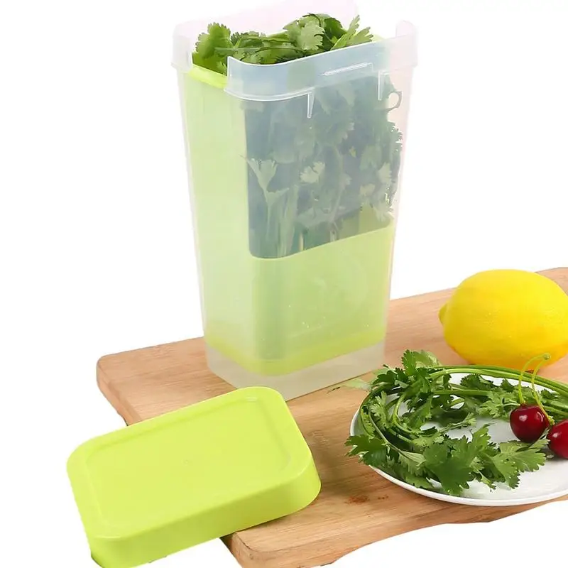 

Herb Saver Storage Container Fresh Herb Keeper Vanilla Vegetables Fresh Preservation Bottle For Refrigerator Kitchen Gadgets