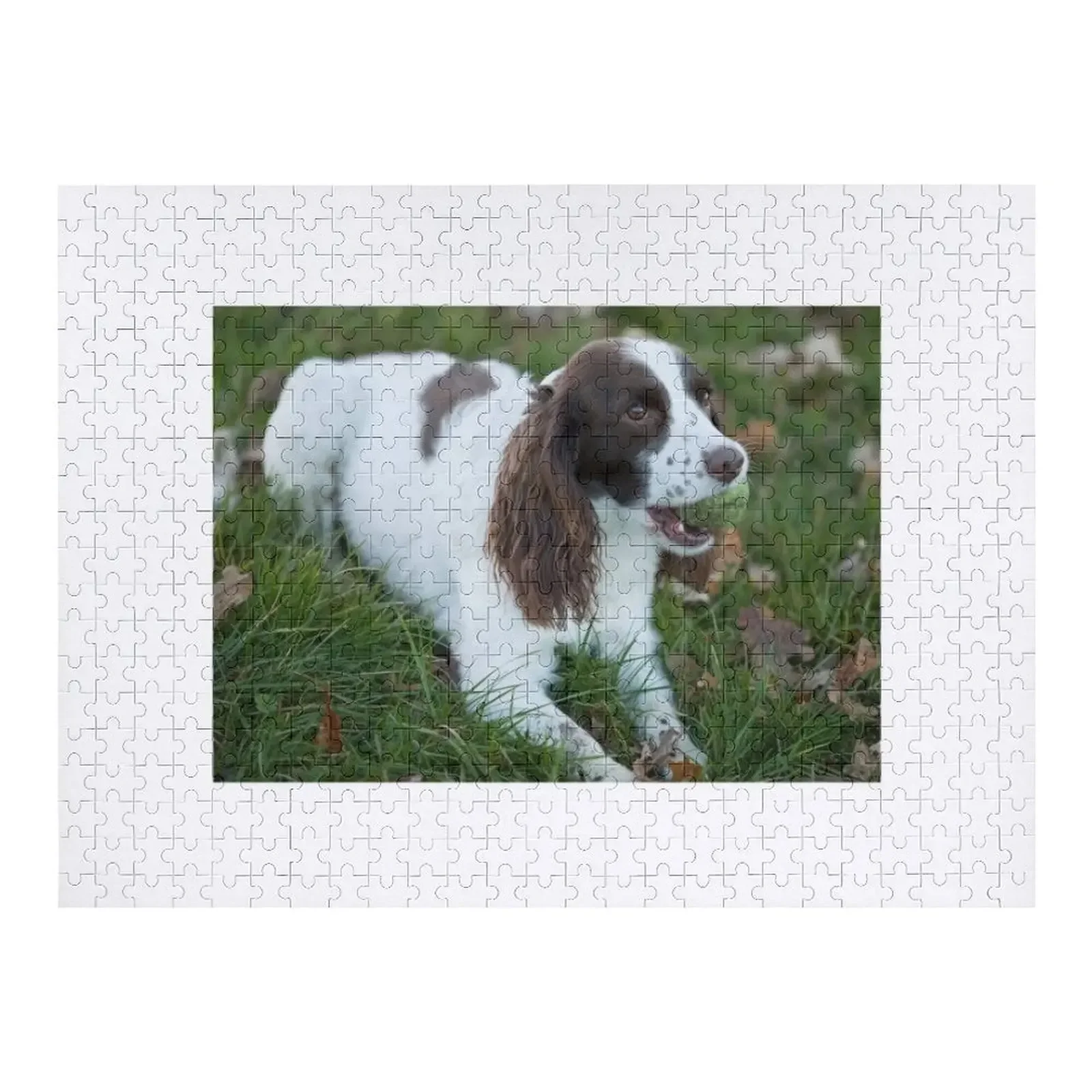 Springer Spaniel 11 Jigsaw Puzzle Wooden Adults Custom Jigsaw Personalised Toys Puzzle
Springer Spaniel 11 Jigsaw Puzzle Wooden Adults Custom Jigsaw Personalised Toys Puzzle