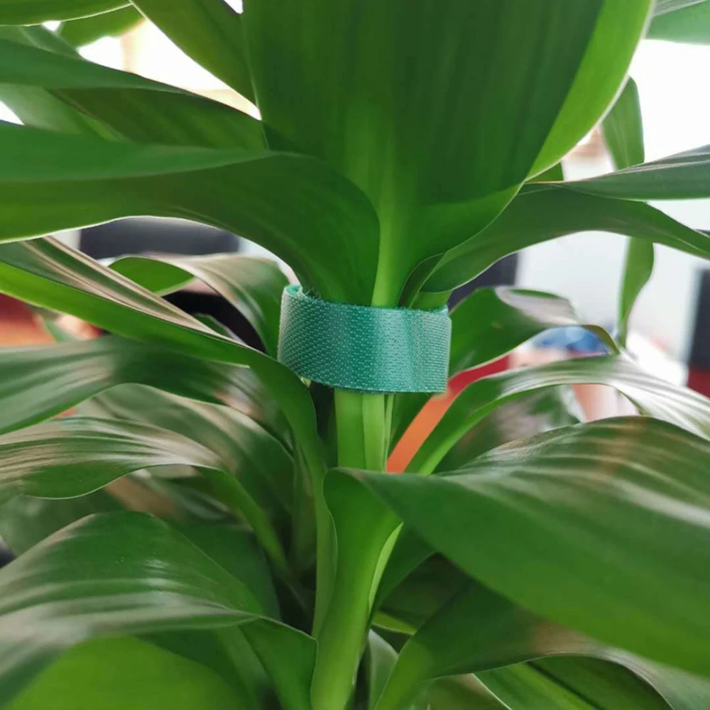 Nylon Plants Bandage Fastener Tape Nylon Plants Bandage Fastener Tape
