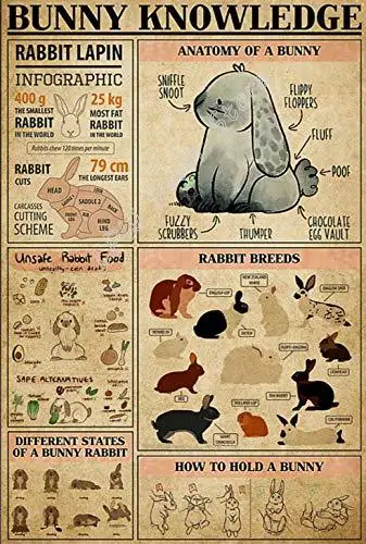 Rabbit Bunny Knowledge Metal Sign Garage Street Cafe Bar Club Kitchen Wall Decoration Retro Metal Tin SignBest Gift for Family 
Rabbit Bunny Knowledge Metal Sign Garage Street Cafe Bar Club Kitchen Wall Decoration Retro Metal Tin SignBest Gift for Family