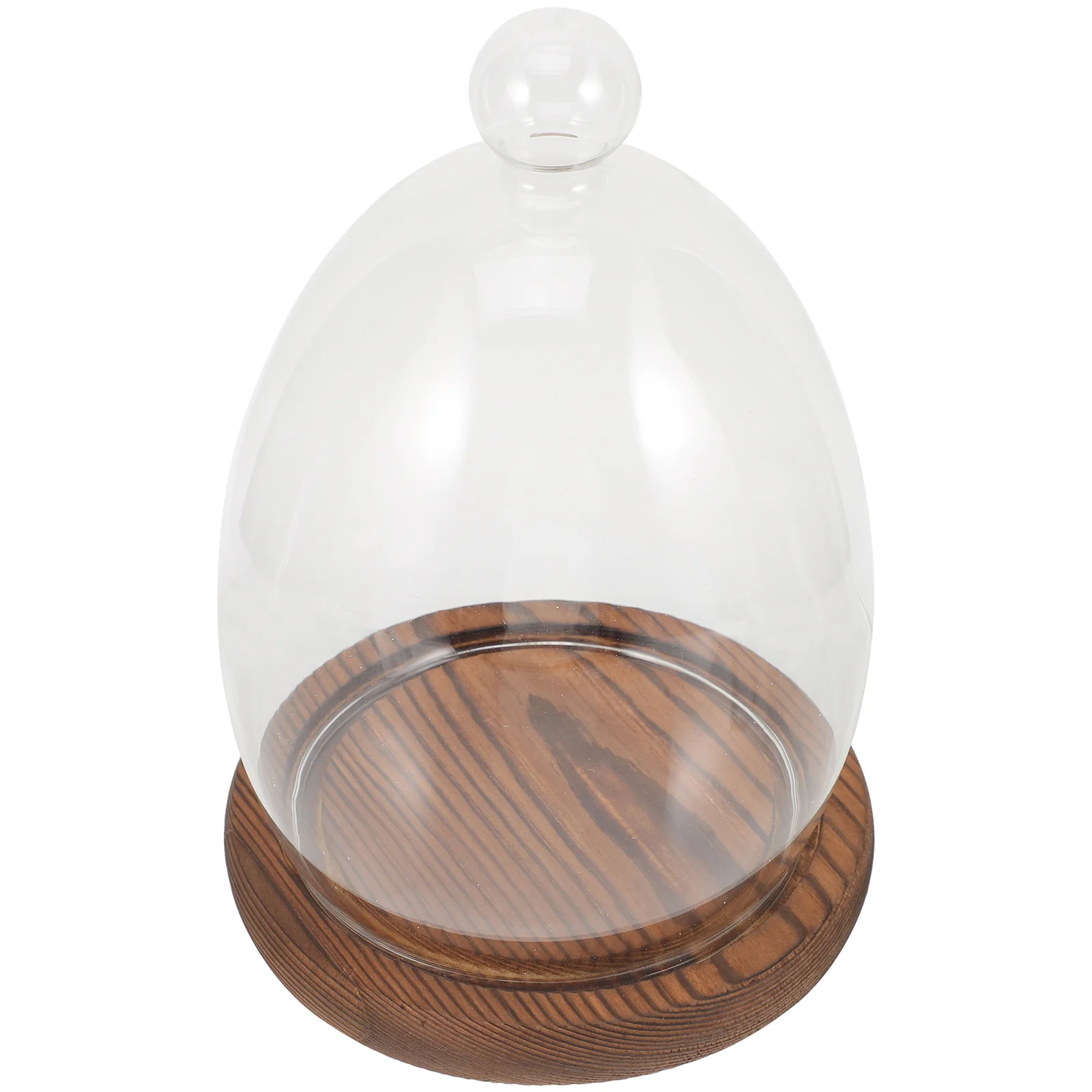 Multipurpose Valentine's Day Decorative Preserved Flower Glass Cover Glass Dome with Wood Base Glass Landscape Cover
Multipurpose Valentine's Day Decorative Preserved Flower Glass Cover Glass Dome with Wood Base Glass Landscape Cover