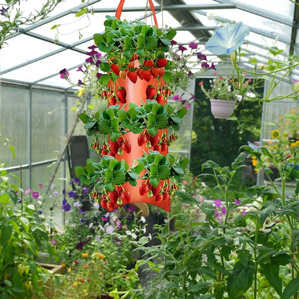 Hang Grow Bags, Breathable Canvas Upside Down Tomato Strawberry Plant Flower Plant Grow Bag, Red, Dark Green, Non woven Fabric
Hang Grow Bags, Breathable Canvas Upside Down Tomato Strawberry Plant Flower Plant Grow Bag, Red, Dark Green, Non woven Fabric
